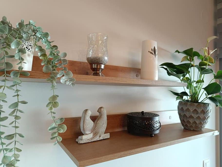 Sotherm Apartment Thérmi Dış mekan fotoğraf